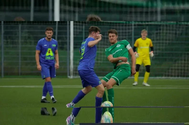 企业概况